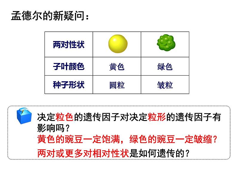 1.2孟德尔的豌豆杂交实验（二）课件PPT第6页