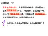 2.2基因在染色体上课件PPT