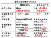 2.2基因在染色体上课件PPT