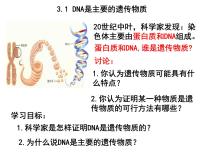 人教版 (2019)必修2《遗传与进化》第1节 DNA是主要的遗传物质备课ppt课件