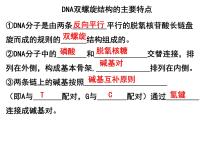 生物必修2《遗传与进化》第3节 DNA的复制课堂教学课件ppt