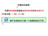 3.3DNA的复制课件PPT