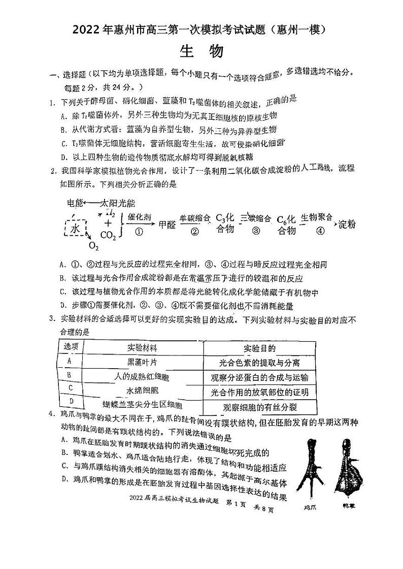 2022年惠州市高三第一次模拟考试试题（惠州一模）生物试题含参考答案01