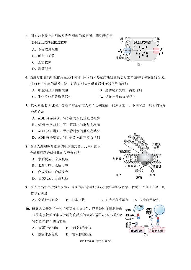 2021届上海市崇明区高三下学期4月第二次高考模拟考试（二模）生物试题 PDF版02