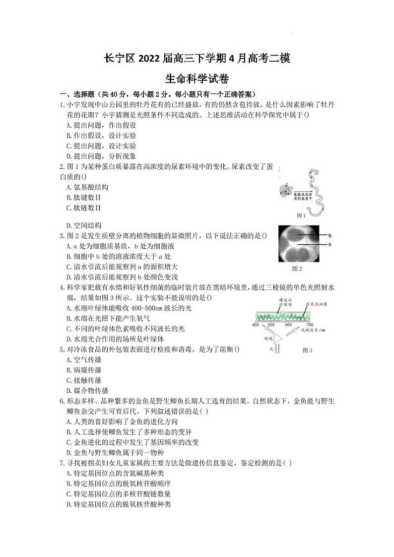 2022届上海市长宁区高三下学期4月高考二模生物试卷（PDF版）01