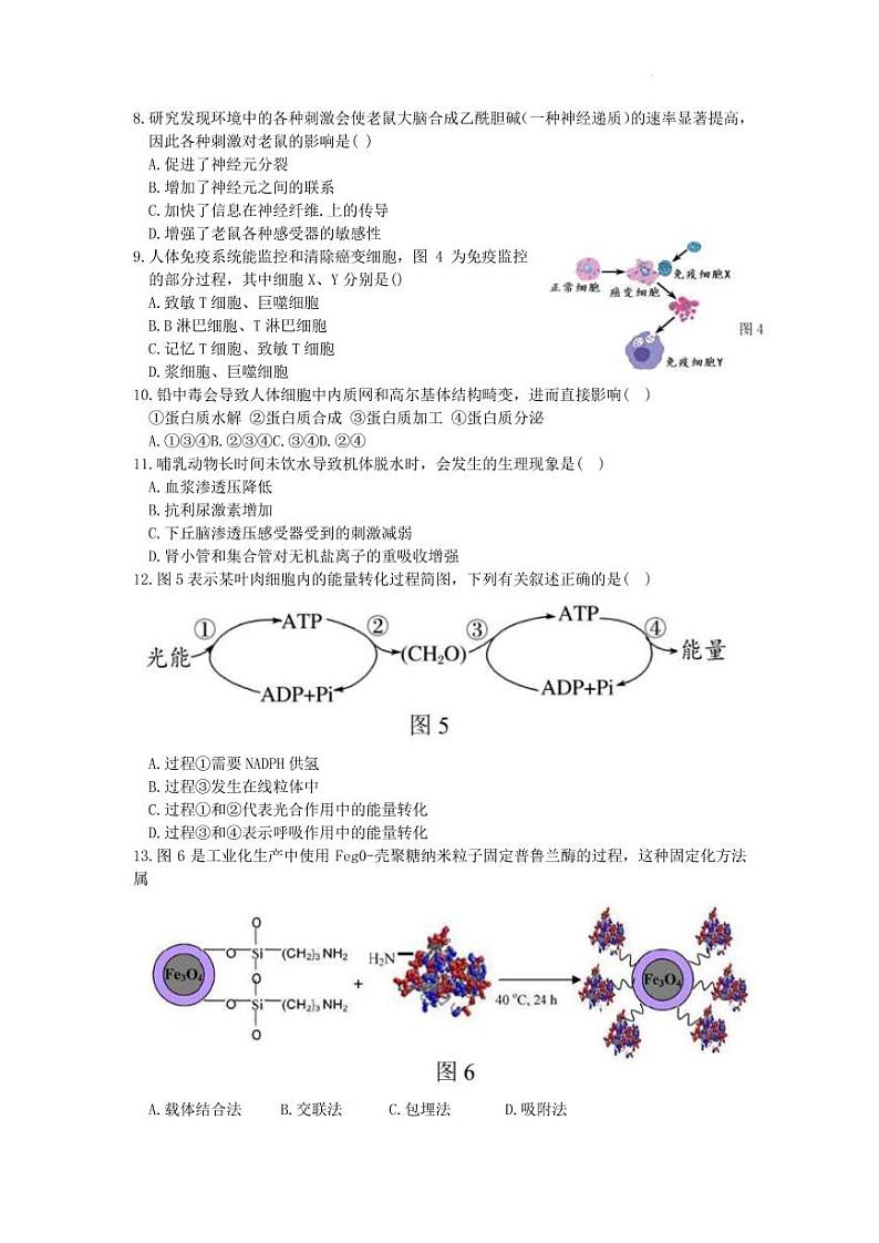 2022届上海市长宁区高三下学期4月高考二模生物试卷（PDF版）02