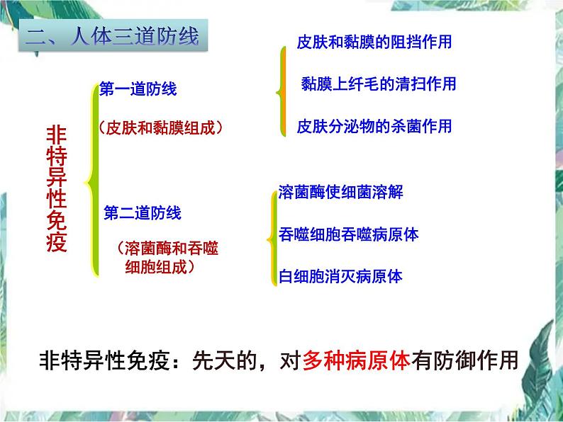 高考生物 稳态与环境 免疫调节 二轮复习优质复习课件PPT第7页