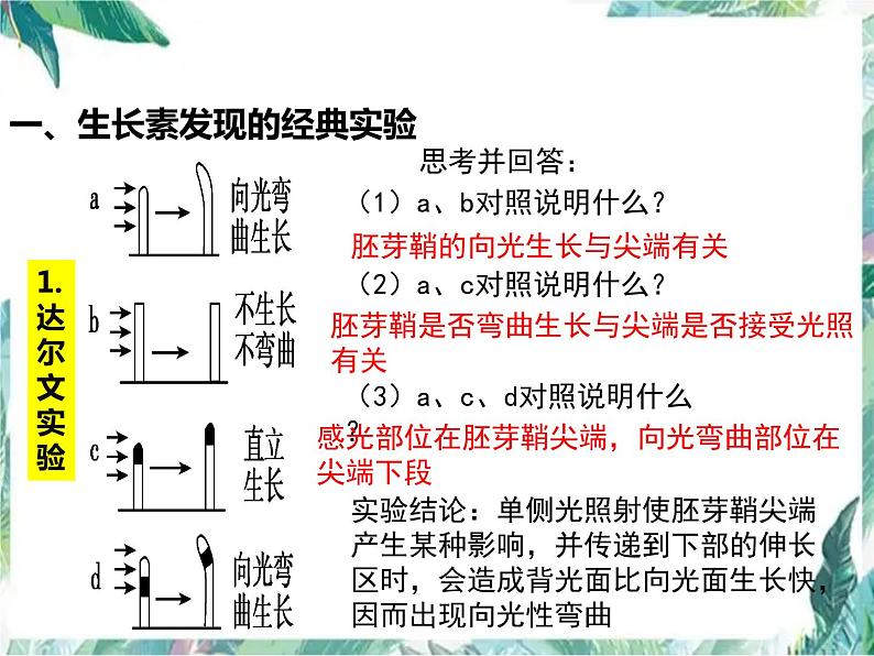 高三一轮复习生物：植物激素调节优质课件第3页