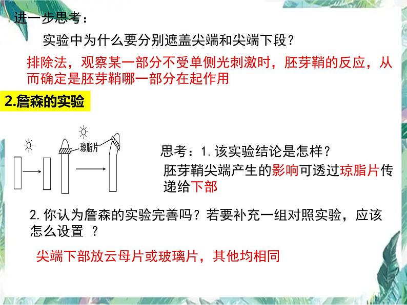 高三一轮复习生物：植物激素调节优质课件第4页