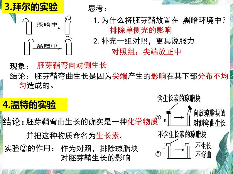 高三一轮复习生物：植物激素调节优质课件第5页