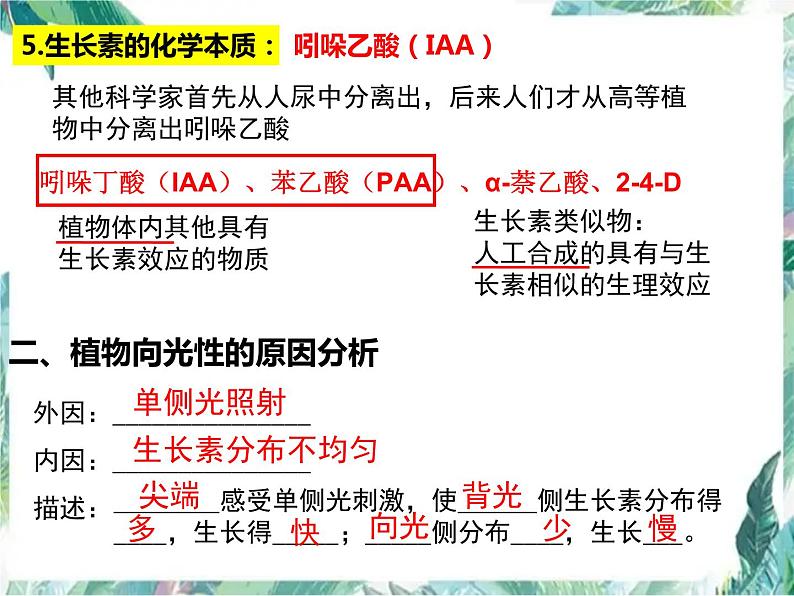 高三一轮复习生物：植物激素调节优质课件第7页