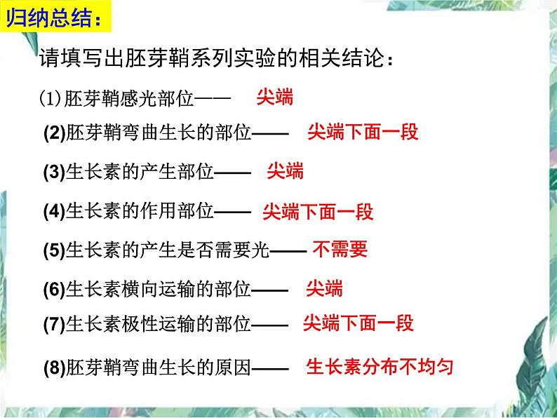 高三一轮复习生物：植物激素调节优质课件第8页