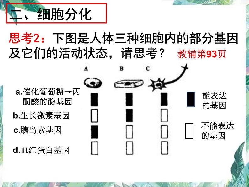 高中生物必修一专题复习  一轮复习课（细胞分化）公开课课件PPT第7页