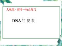 高考生物一轮专题复习 DNA复制 优质课件