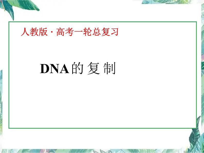 高考生物一轮专题复习 DNA复制 优质课件01