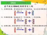 高考生物一轮专题复习 DNA复制 优质课件