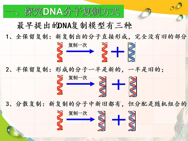 高考生物一轮专题复习 DNA复制 优质课件03