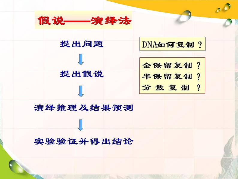 高考生物一轮专题复习 DNA复制 优质课件04