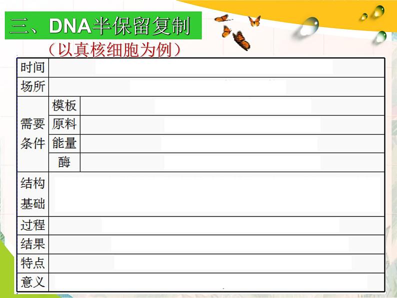 高考生物一轮专题复习 DNA复制 优质课件08