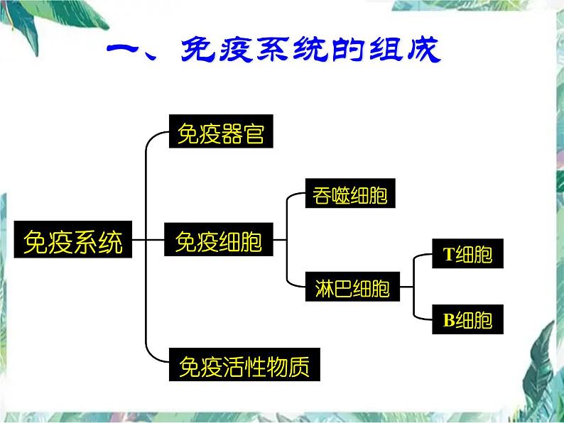 专题复习 免疫课件(高考生物一轮复习)优质课件第2页