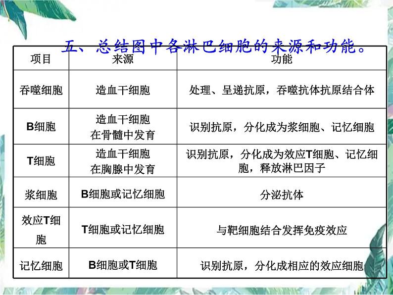 专题复习 免疫课件(高考生物一轮复习)优质课件第7页