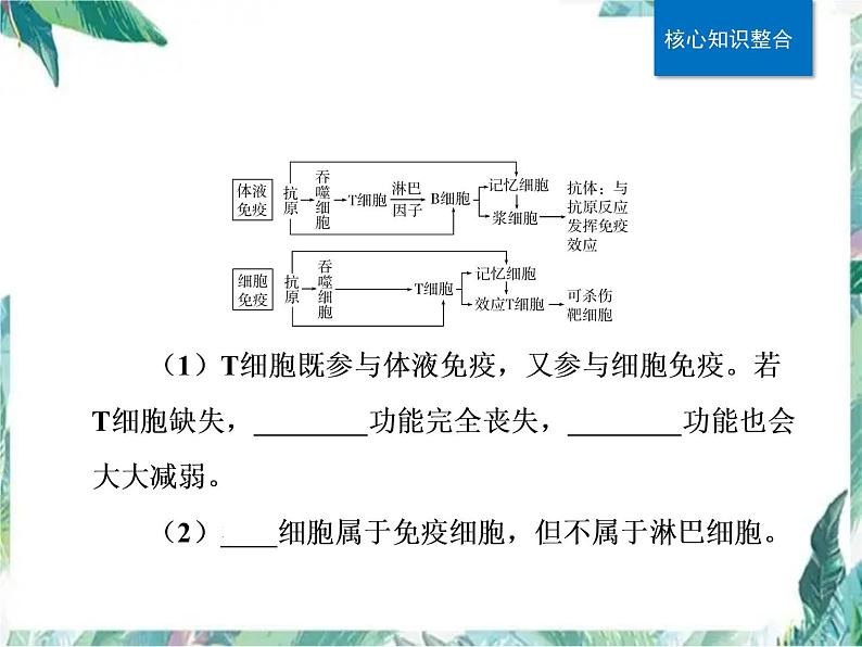 专题复习 免疫课件(高考生物一轮复习)优质课件第8页