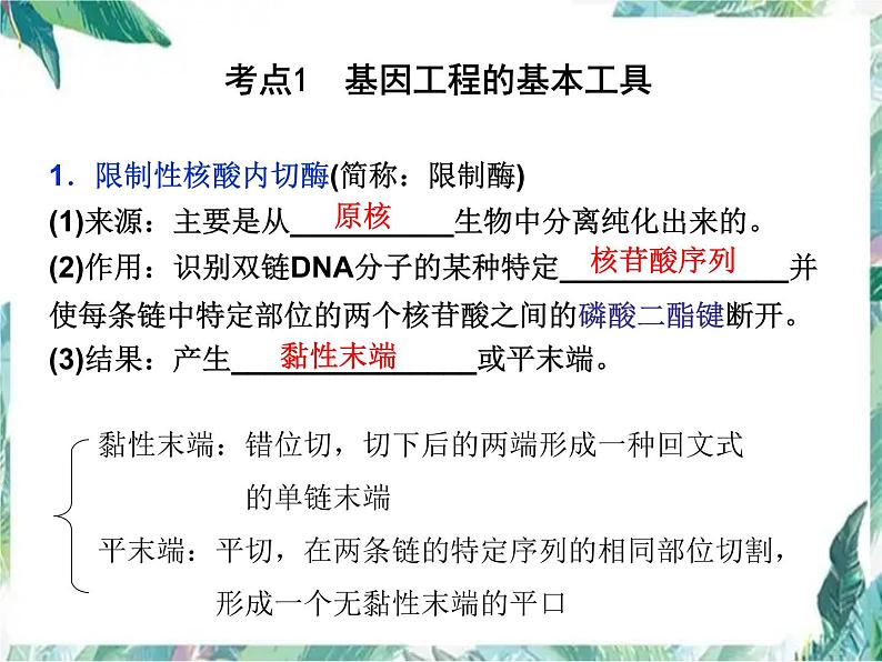 高考生物一轮复习  基因工程 优质课件第3页