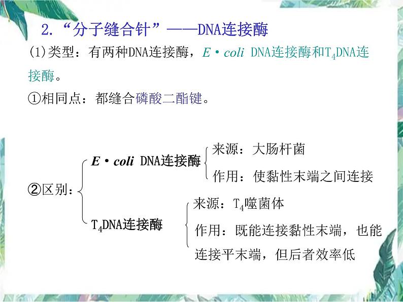 高考生物一轮复习  基因工程 优质课件第5页