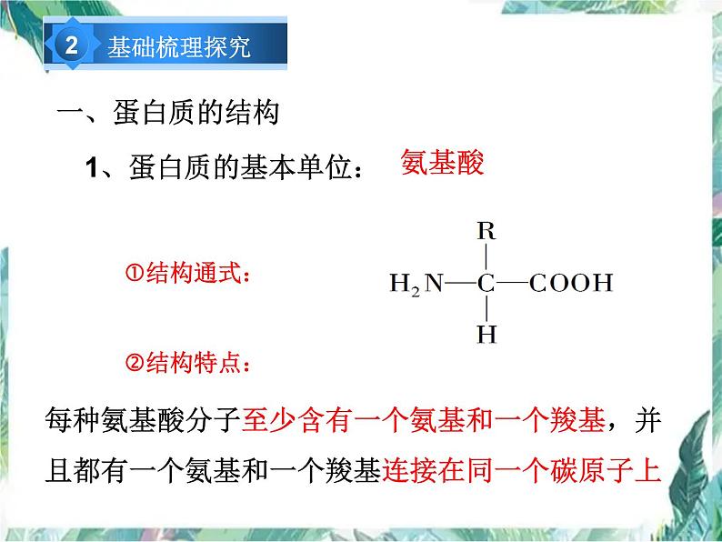 专题复习 生命活动的主要承担者—蛋白质课件第3页