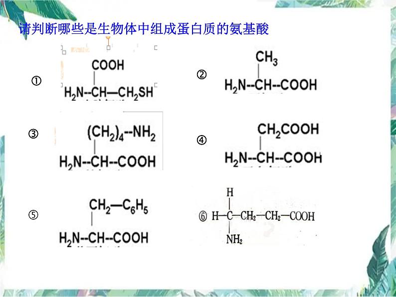 专题复习 生命活动的主要承担者—蛋白质课件第4页