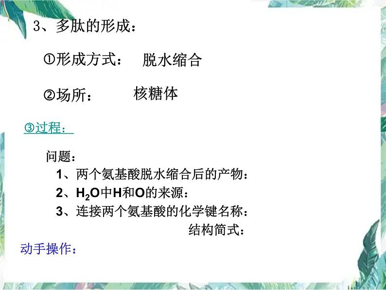 专题复习 生命活动的主要承担者—蛋白质课件第6页