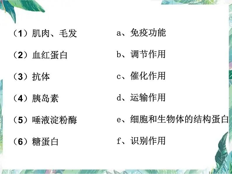 专题复习 生命活动的主要承担者—蛋白质课件第8页