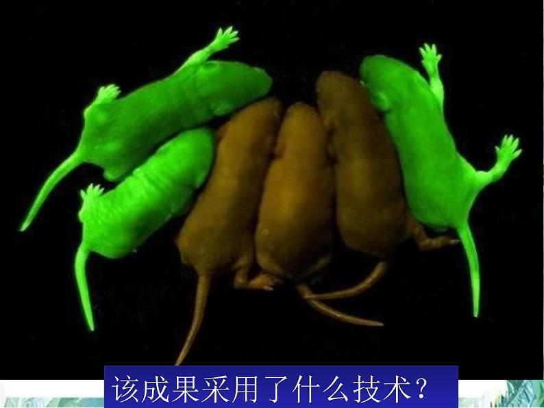 高中生物一轮复习 基因的表达 优质课件第2页