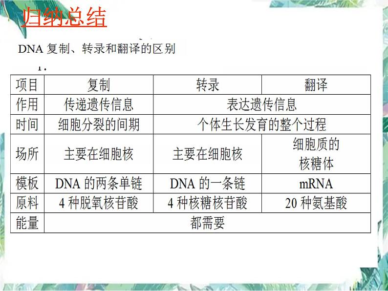 高中生物一轮复习 基因的表达 优质课件第8页