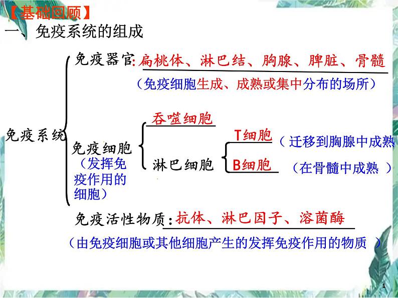 生物专题复习 免疫调节 一轮复习公开课课件第3页