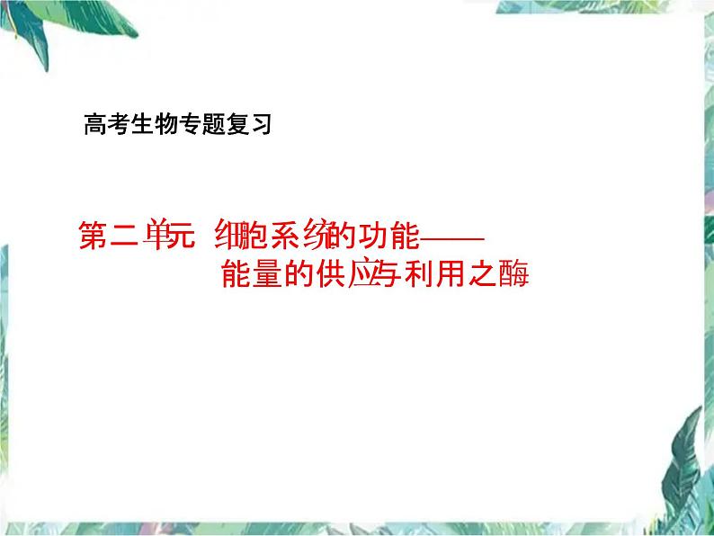 高考生物二轮复习  酶专题优质课件第1页