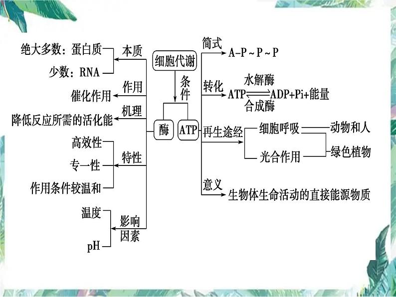 高考生物二轮复习  酶专题优质课件第3页