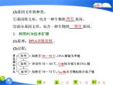 专题1  1．2 基因工程的基本操作程序课件PPT