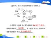 专题1  1．3 基因工程的应用课件PPT