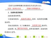 专题1  1．3 基因工程的应用课件PPT