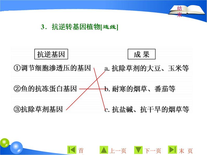 专题1  1．3 基因工程的应用课件PPT第6页