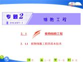 专题2  2．1  2．1.1　植物细胞工程的基本技术课件PPT