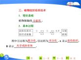 专题2  2．1  2．1.1　植物细胞工程的基本技术课件PPT