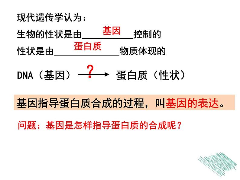 4.1基因指导蛋白质的合成课件PPT第1页