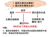 4.1基因指导蛋白质的合成课件PPT