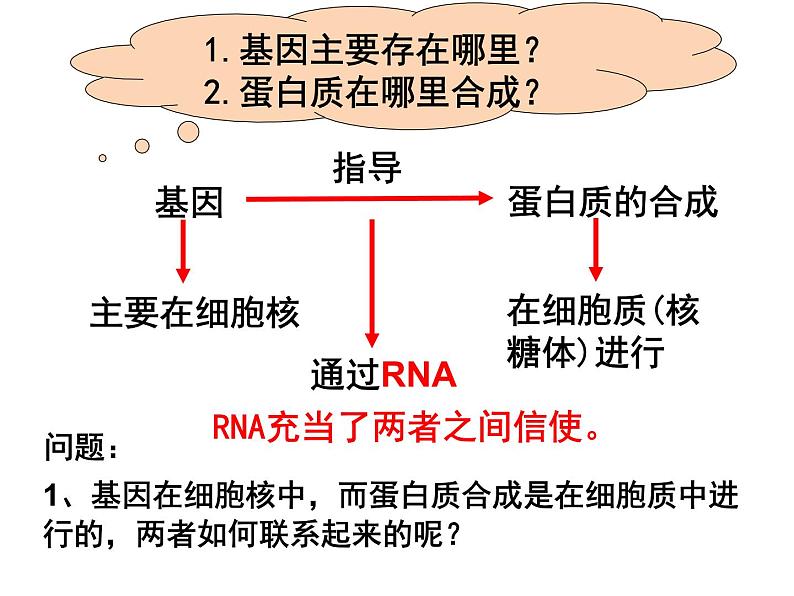 4.1基因指导蛋白质的合成课件PPT第3页