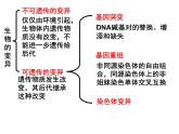 5.2染色体变异课件PPT