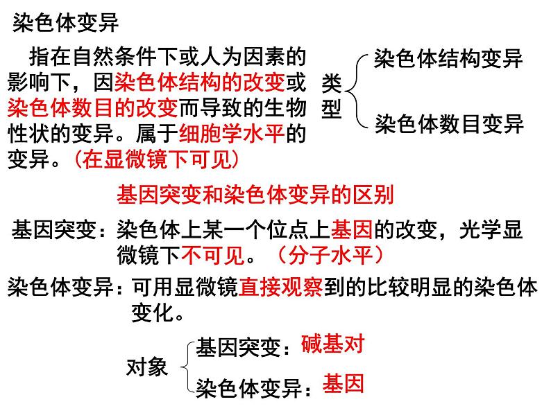 5.2染色体变异课件PPT03