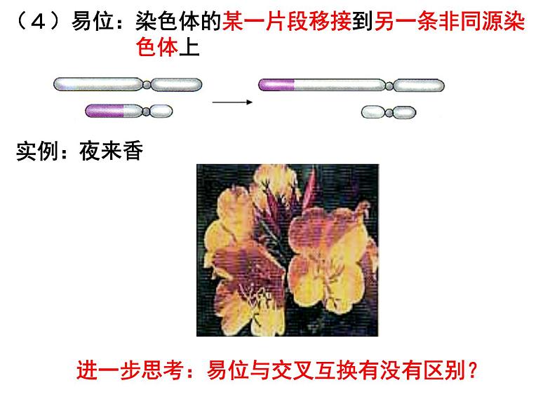 5.2染色体变异课件PPT06