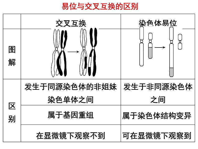 5.2染色体变异课件PPT07